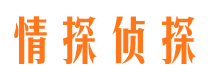 方正市出轨取证